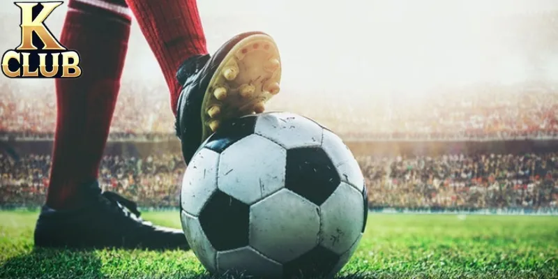 Sống bằng nghề cá độ được nhưng khó